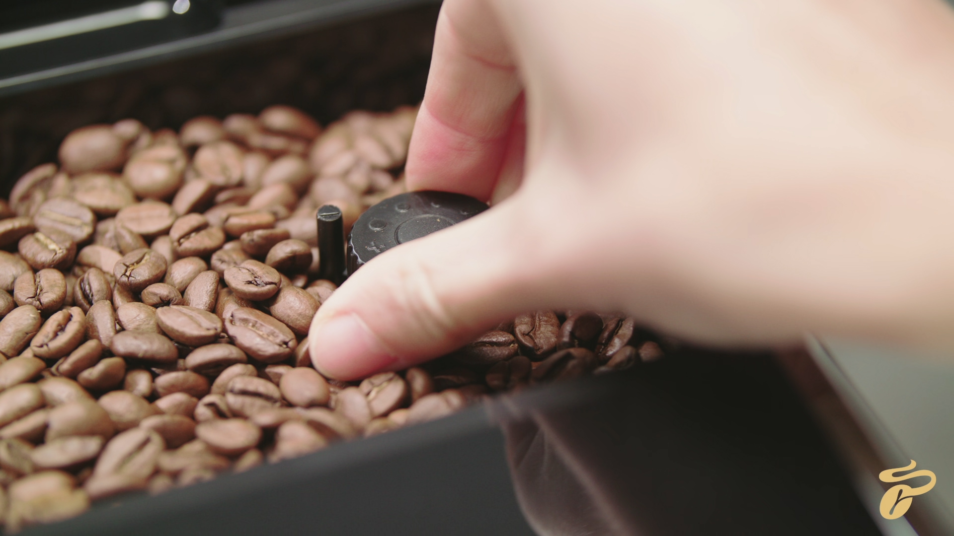 Automata kávéfőzők széles kínálata online | TCHIBO